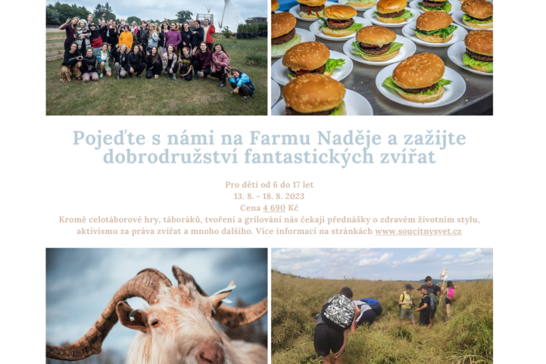 Letní dětský tábor Soucitný svět (Dobrovítov)